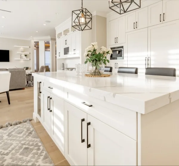 Home remodeling and building