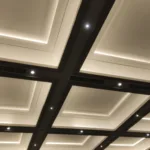 Modern Ceiling Ideas