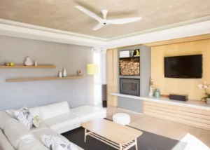 Tray Ceiling 